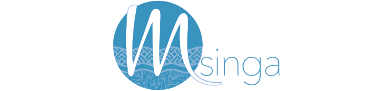 Logo Msinga